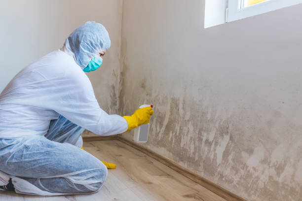 Licensed Crawl Space Mold Remediation service in Bedminster, NJ - Car Mold Remediation